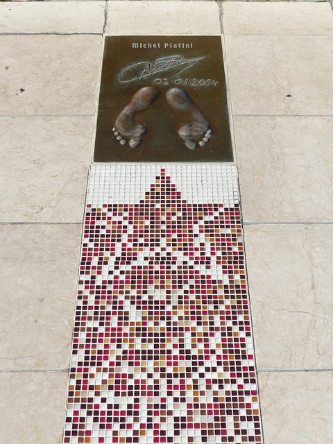 的心理素质 的心理素质