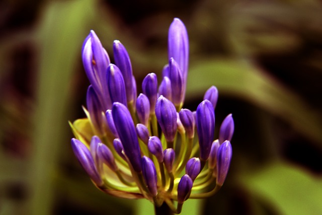 继续延续过 继续延续过