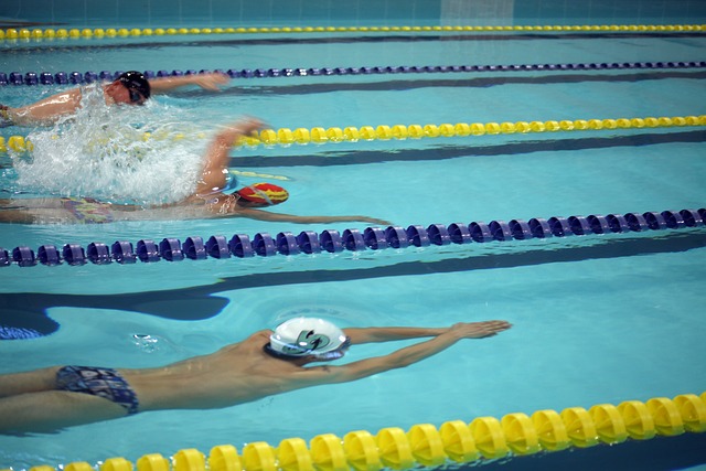 这支球队不 这支球队不