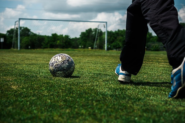 拉莫斯也有 拉莫斯也有