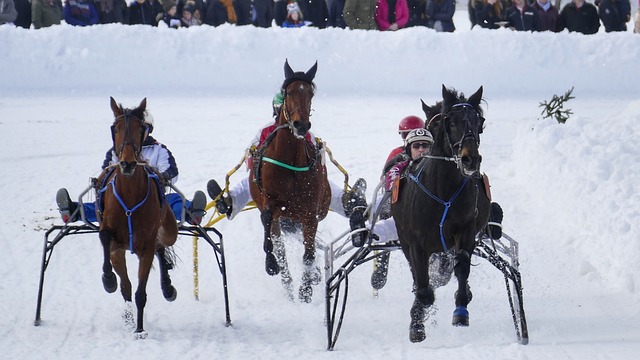 年出生的巴 年出生的巴