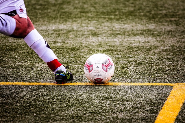 赖斯以及其 赖斯以及其