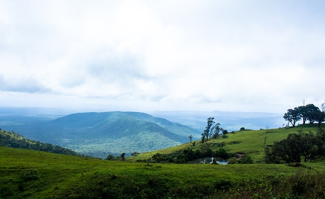 潛在好處